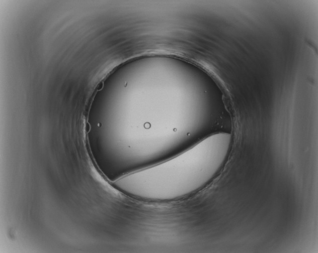 X0000101661476200807101013