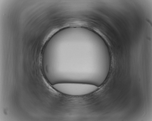 X0000101661477200807101013