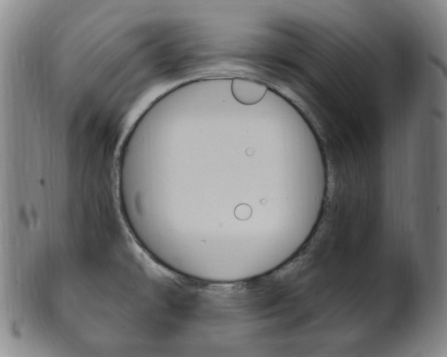 X0000101661478200807101013