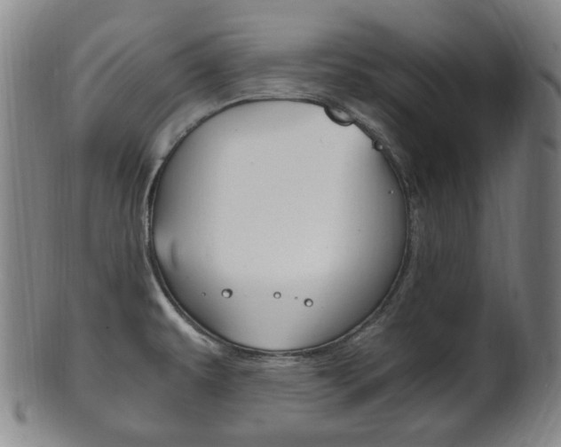 X0000101661479200807101013