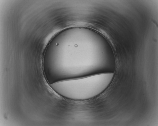 X0000101661480200807101013
