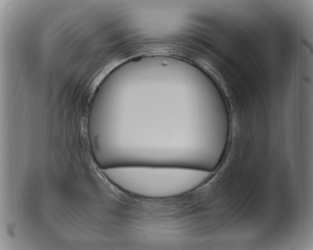 X0000101661481200807101012