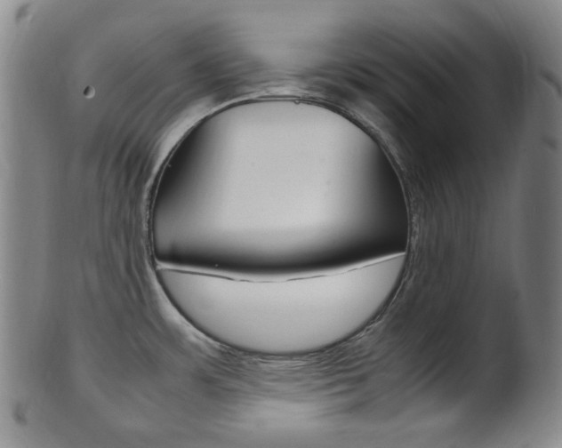 X0000101661483200807101012