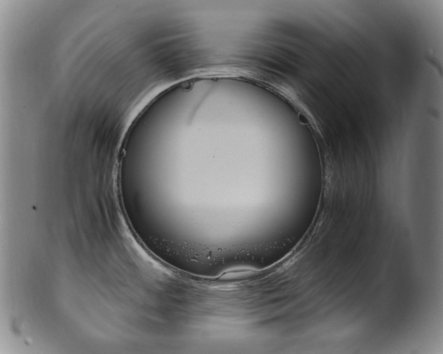 X0000101661484200807101012