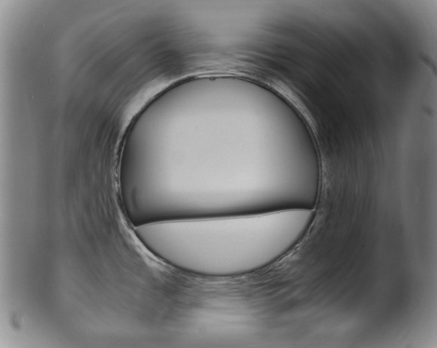 X0000101661485200807101012