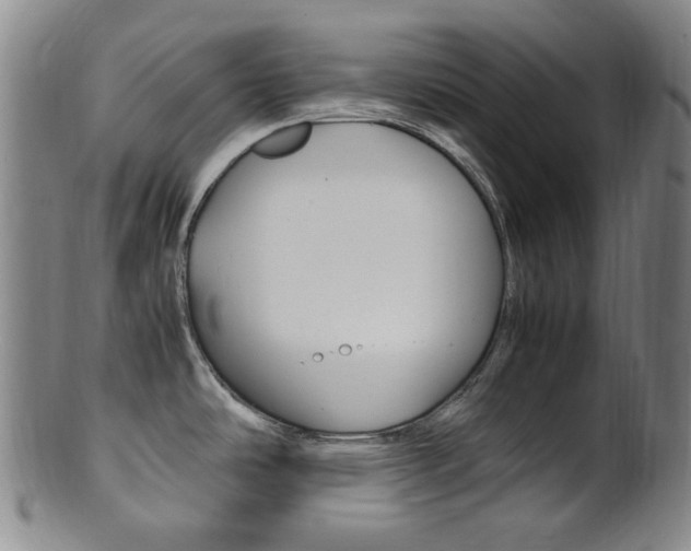 X0000101661486200807101012