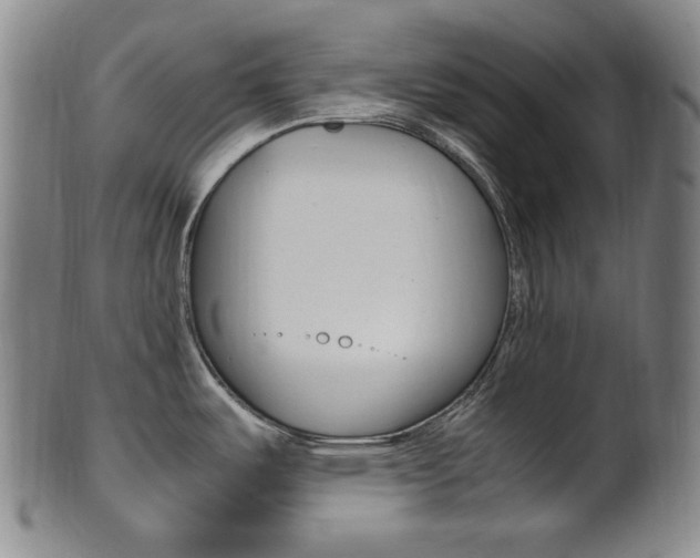 X0000101661487200807101012