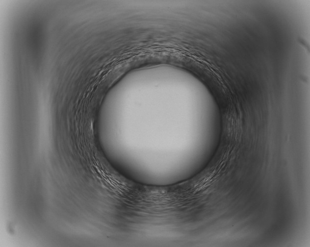 X0000101661489200807101012
