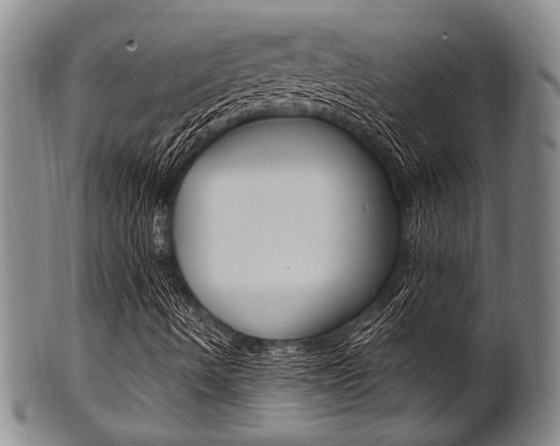 X0000101661490200807101012