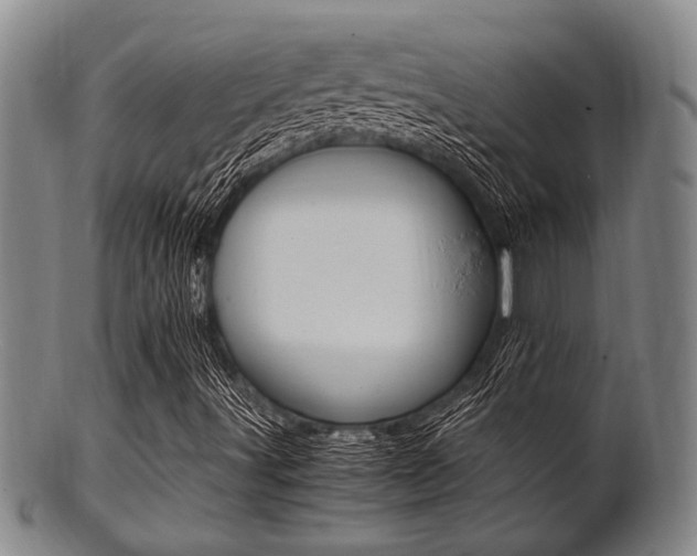 X0000101661491200807101012