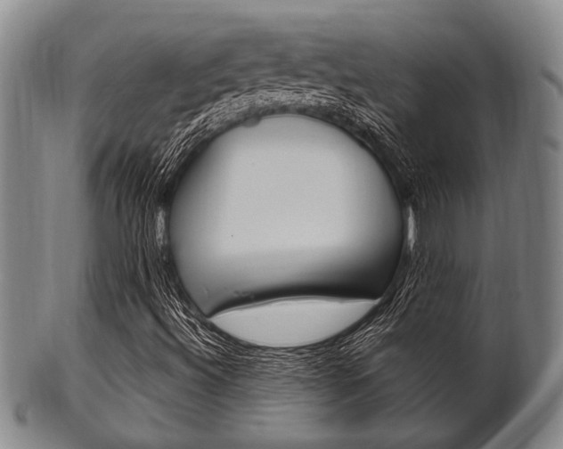 X0000101661492200807101012