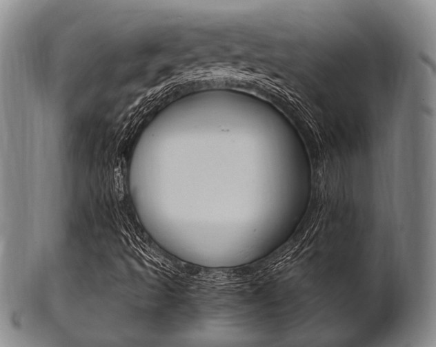 X0000101661493200807101012