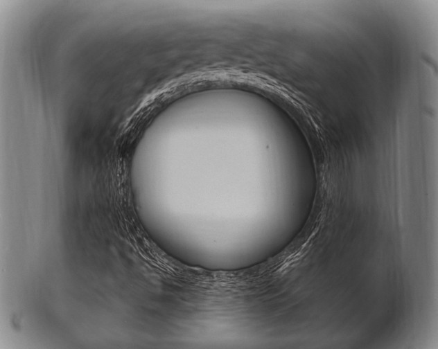 X0000101661494200807101012