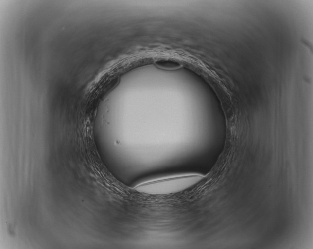 X0000101661495200807101012