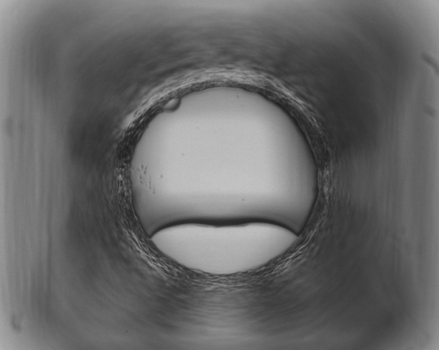 X0000101661496200807101012