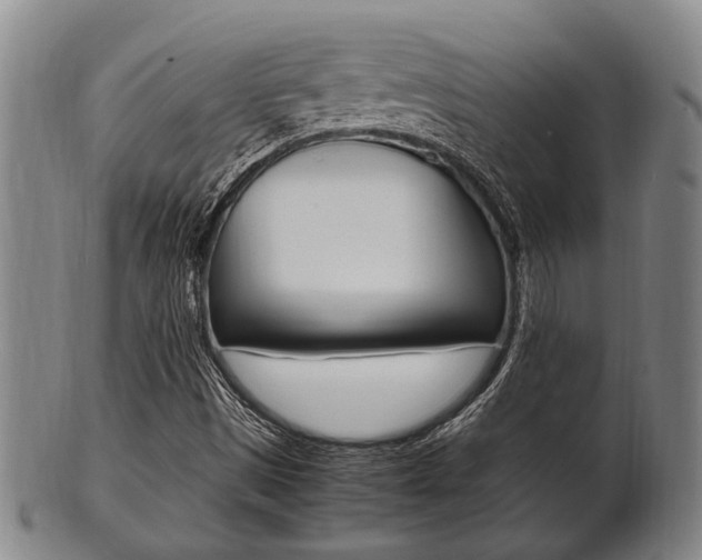 X0000101661497200807101012