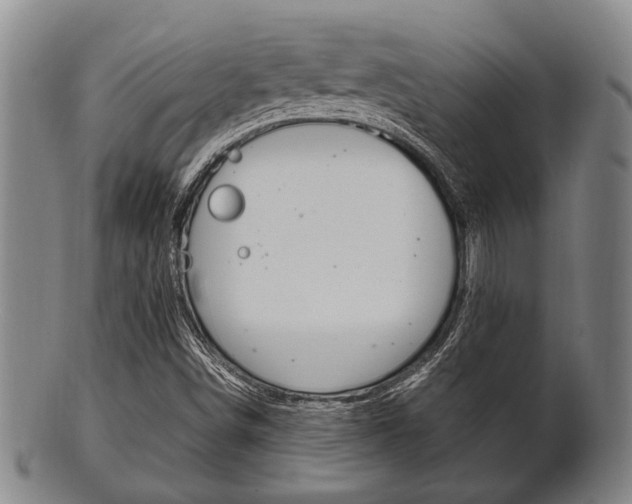 X0000101661498200807101012
