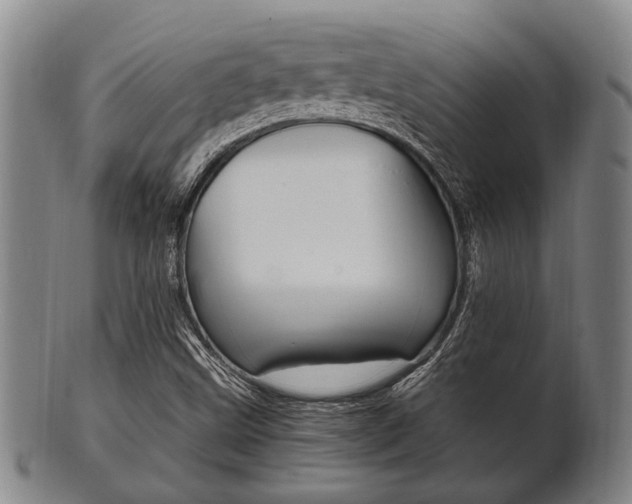 X0000101661499200807101012