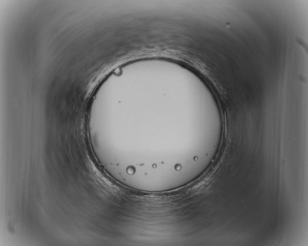 X0000101661500200807101012