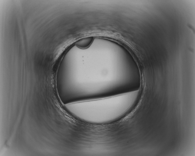 X0000101661501200807101012