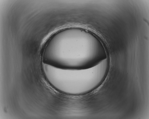 X0000101661502200807101012