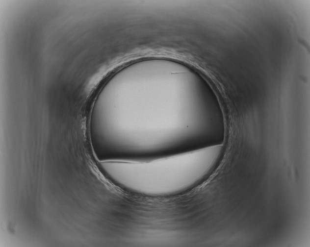 X0000101661503200807101012