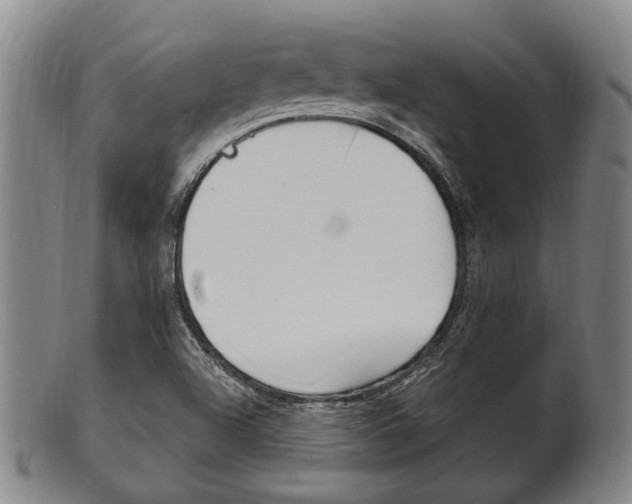 X0000101661504200807101012
