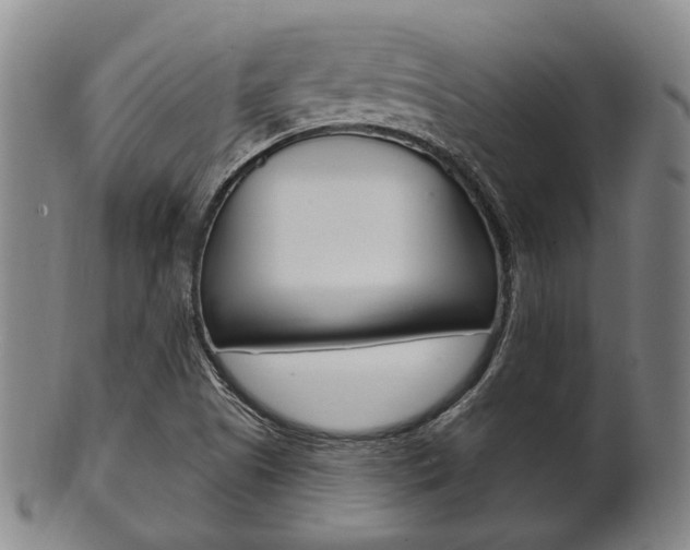 X0000101661505200807101012