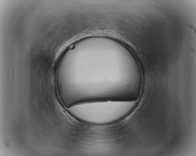X0000101661506200807101012