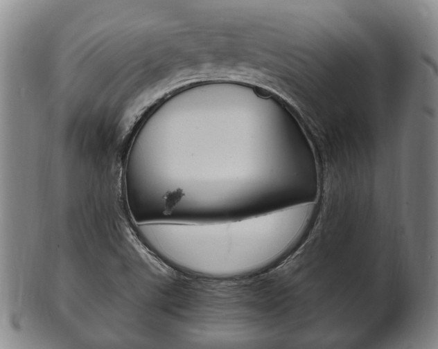 X0000101661507200807101012