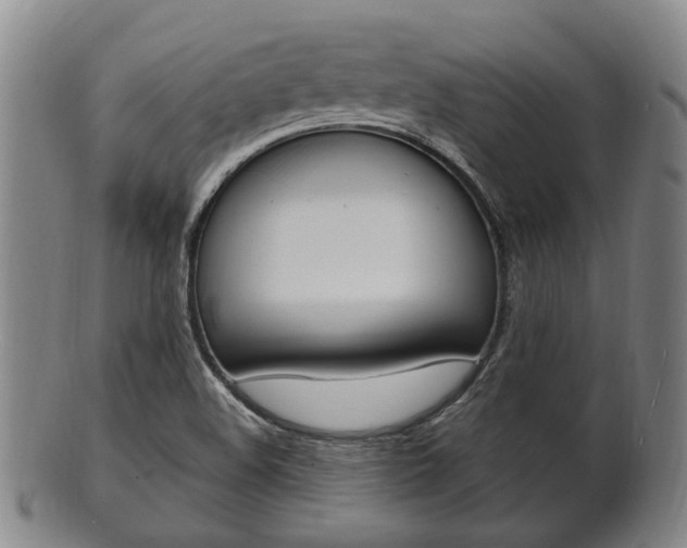 X0000101661508200807101012