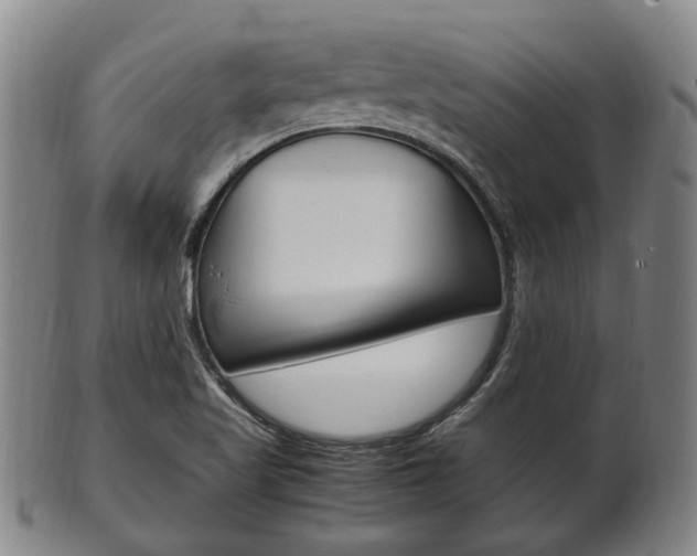 X0000101661509200807101012