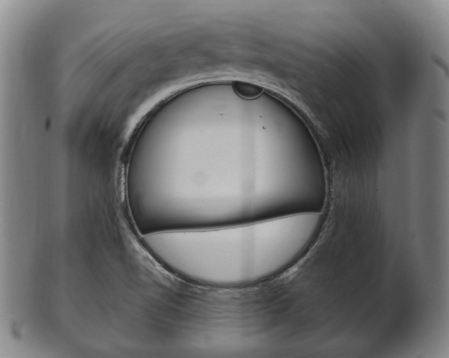 X0000101661510200807101012