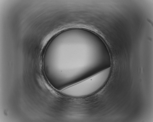 X0000101661511200807101012