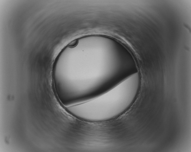 X0000101661512200807101012