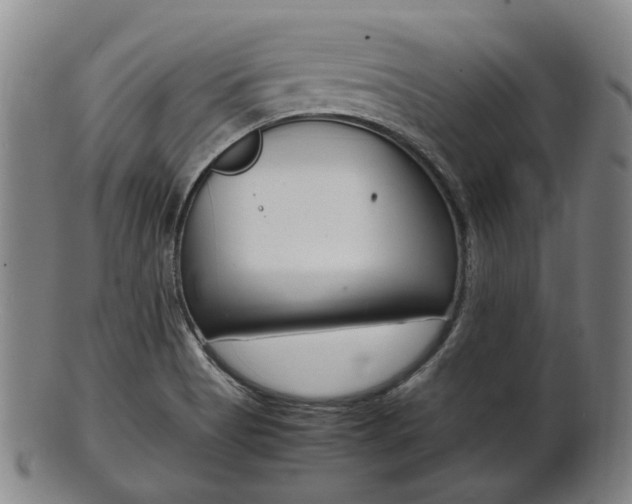 X0000101661513200807101012