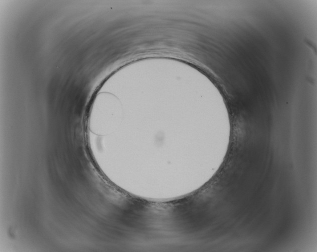 X0000101661514200807101012