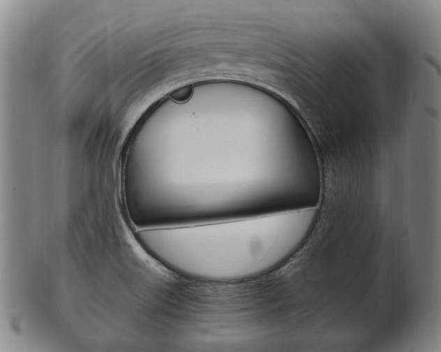 X0000101661515200807101012