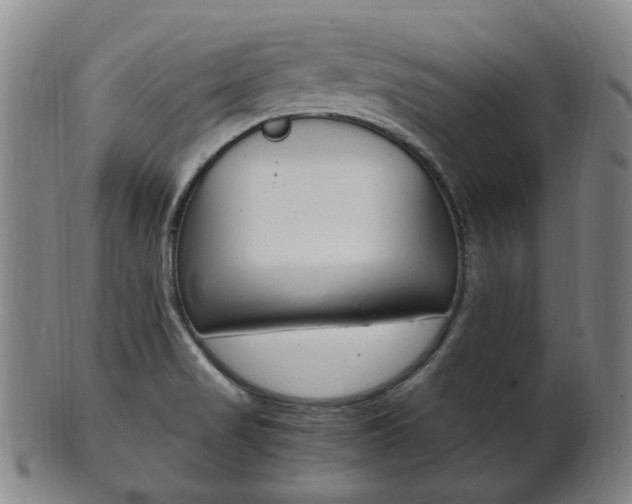 X0000101661517200807101012