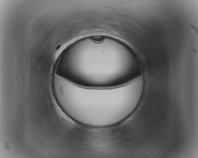 X0000101661518200807101012