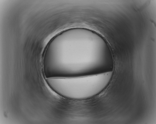X0000101661519200807101012