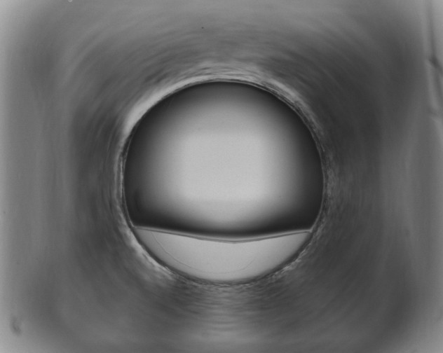 X0000101661520200807101012