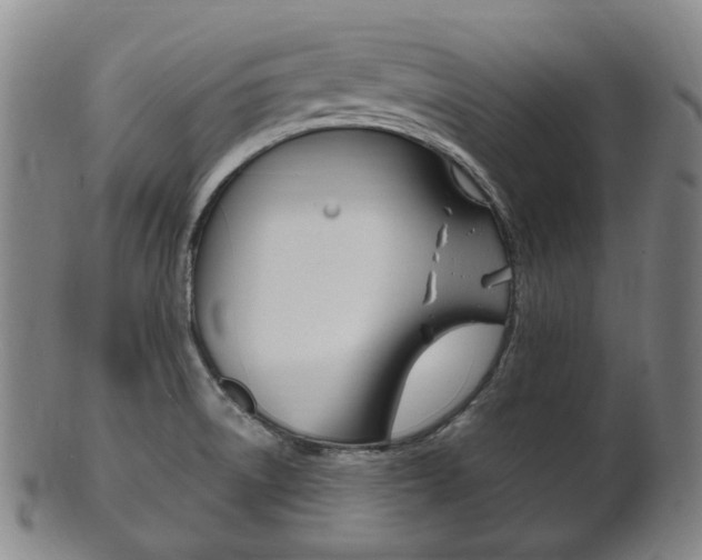 X0000101661522200807101012