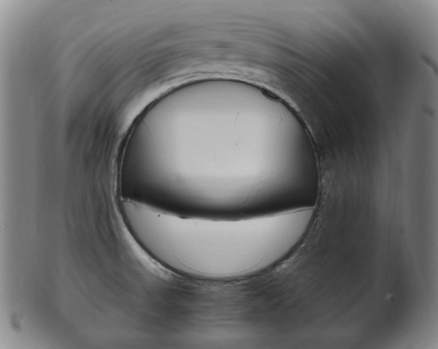 X0000101661523200807101012