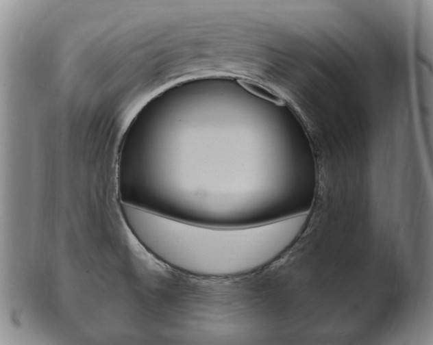 X0000101661524200807101012