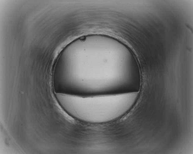 X0000101661525200807101012