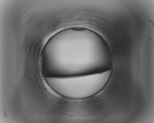 X0000101661526200807101012