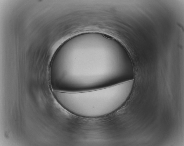 X0000101661527200807101012