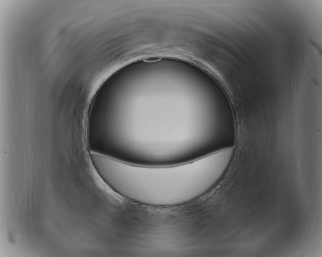 X0000101661528200807101012