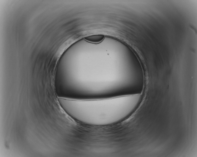 X0000101661529200807101012